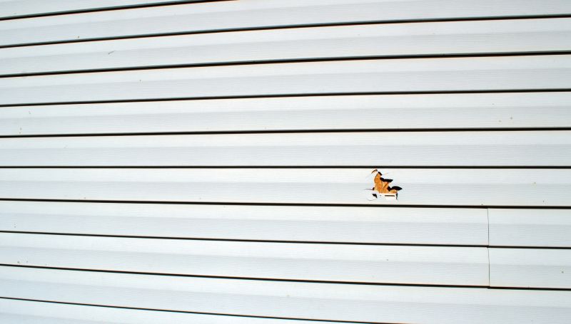 Insurance and Liability Coverage